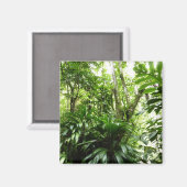 Dominikanischer Regenwald I Tropische Natur Magnet (Vorderseite/Rückseite)