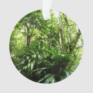 Dominikanischer Regenwald I Tropische Natur Ornament