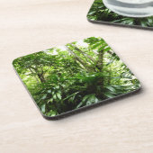 Dominikanischer Regenwald I Tropische Natur Untersetzer (Linke Seite)