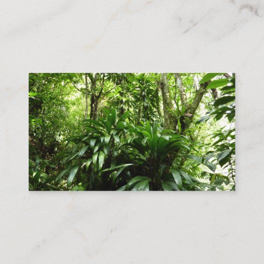 Dominikanischer Regenwald I Tropische Natur Visitenkarte (Rückseite)