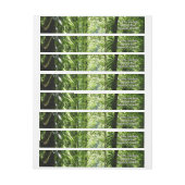Dominikanischer Regenwald II Tropengrün (Bogen)