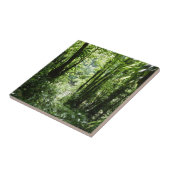 Dominikanischer Regenwald II Tropengrün Fliese (Seite)