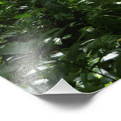 Dominikanischer Regenwald II Tropengrün Fotodruck (Ecke)