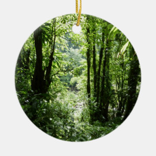 Dominikanischer Regenwald II Tropengrün Keramikornament