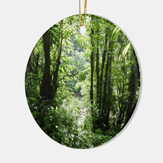 Dominikanischer Regenwald II Tropengrün Keramikornament (Links)