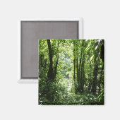 Dominikanischer Regenwald II Tropengrün Magnet (Vorderseite/Rückseite)