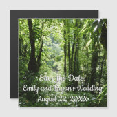 Dominikanischer Regenwald II Tropengrün Magnetkarte (Vorne/Hinten)