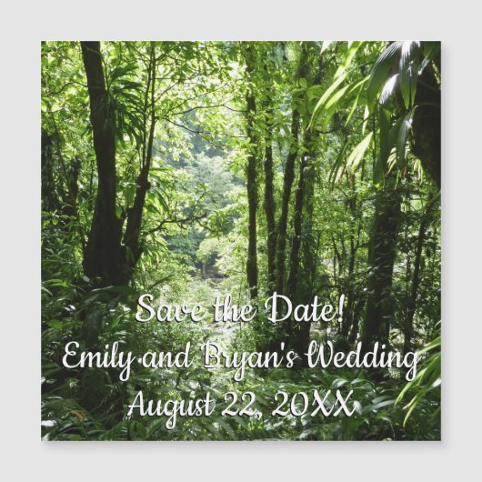 Dominikanischer Regenwald II Tropengrün Magnetkarte (Vorderseite)