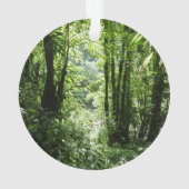 Dominikanischer Regenwald II Tropengrün Ornament (Rückseite)