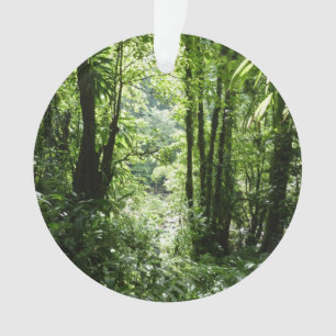 Dominikanischer Regenwald II Tropengrün Ornament