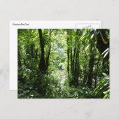 Dominikanischer Regenwald II Tropengrün Postkarte (Vorne/Hinten)