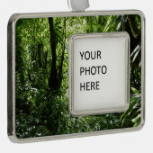 Dominikanischer Regenwald II Tropengrün Rahmen-Ornament Silber (Rechts)