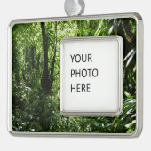Dominikanischer Regenwald II Tropengrün Rahmen-Ornament Silber (Links)