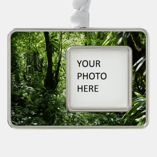 Dominikanischer Regenwald II Tropengrün Rahmen-Ornament Silber (Vorderseite)