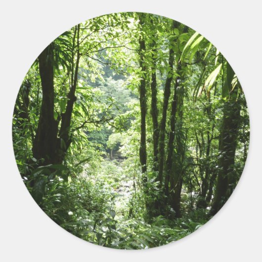 Dominikanischer Regenwald II Tropengrün Runder Aufkleber (Vorderseite)