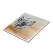 Dominique Chicken Rooster Wasserfarbenspiel Fliese (Seite)