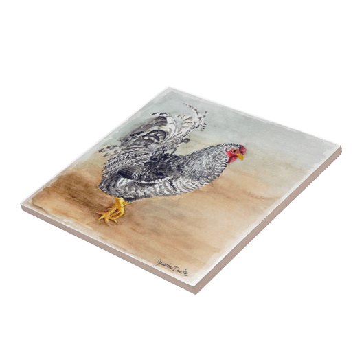 Dominique Chicken Rooster Wasserfarbenspiel Fliese (Seite)