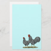 Dominique Chickens Briefpapier (Vorne/Hinten)