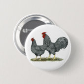 Dominique Chickens Button (Vorne & Hinten)