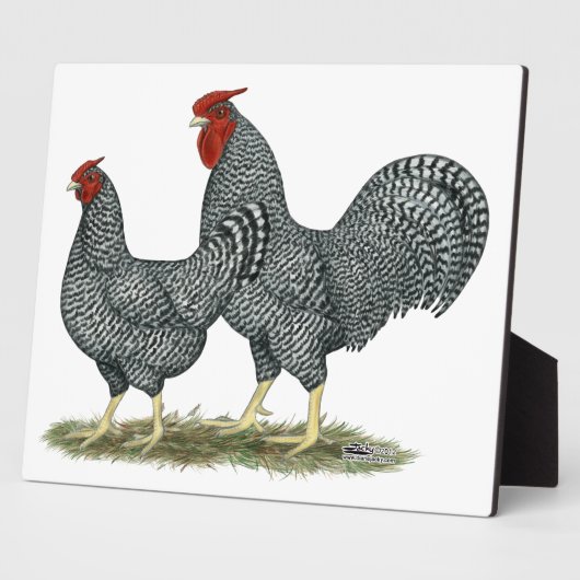 Dominique Chickens Fotoplatte (Seite)