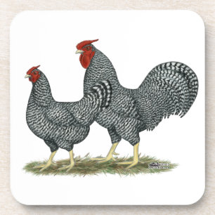 Dominique Chickens Getränkeuntersetzer