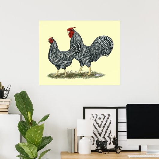 Dominique Chickens Poster (Heimbüro)