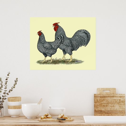 Dominique Chickens Poster (Küche)