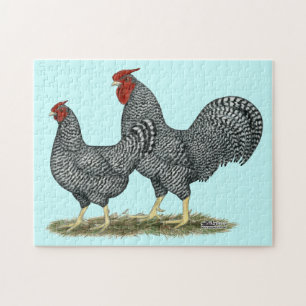 Dominique Chickens Puzzle