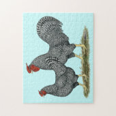 Dominique Chickens Puzzle (Vertikal)