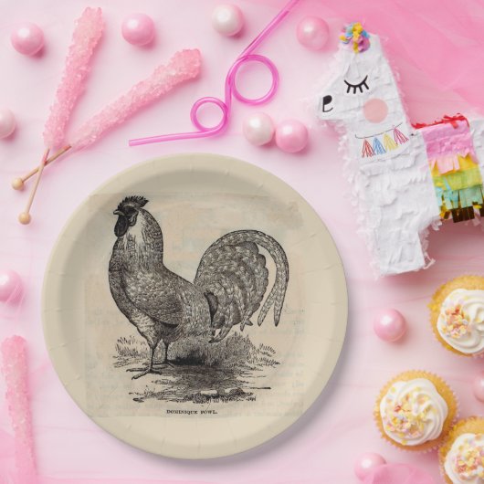 Dominique-Geflügel aus dem 19. Jahrhundert Pappteller (Party)