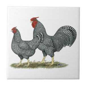 Huhn Fliesen | Zazzle.de