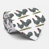 Dominique-Hühner Krawatte (Gerollt)