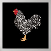 Dominique Rooster Poster (Vorne)