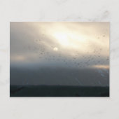 Dommee 11 Postkarte (Vorderseite)