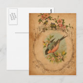 Dompfaff Postkarte (Vorne/Hinten)