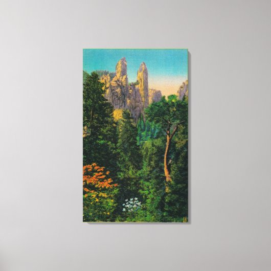 Domspinnen und Yosemite Leinwanddruck (Vorderseite)