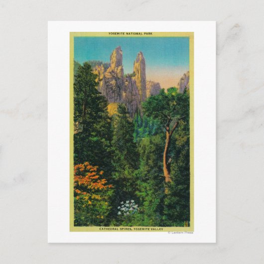 Domspinnen und Yosemite Postkarte (Vorderseite)