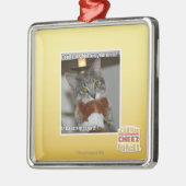 Don-Blicke Ornament Aus Metall (Links)