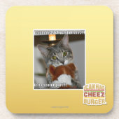 Don-Blicke Untersetzer (Vorderseite)