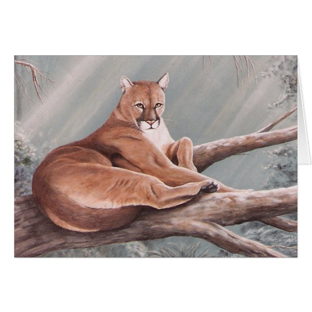 Don Corle-Puma (Vorderseite (Horizontal))