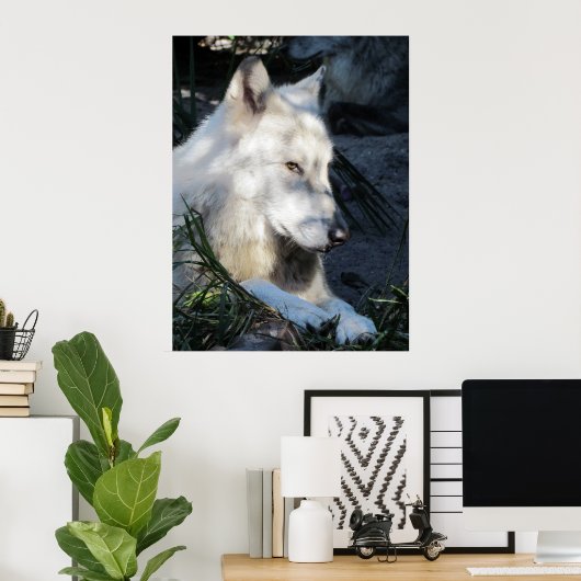 Don Juan Wolf Poster (Heimbüro)