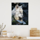 Don Juan Wolf Poster (Küche)