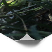 Don Juan Wolf Poster (Ecke)