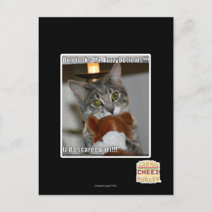 Don look postkarte