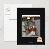 Don look postkarte (Vorne/Hinten)