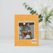 Don look postkarte (Stehend Vorderseite)