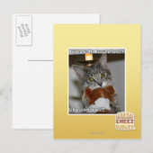 Don look postkarte (Vorne/Hinten)