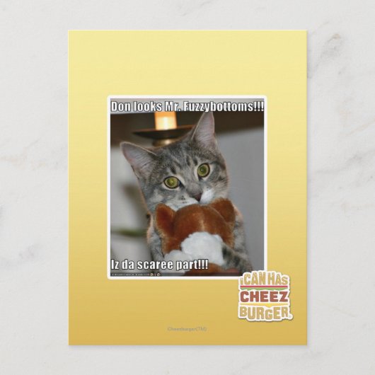 Don look postkarte (Vorderseite)