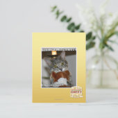Don look postkarte (Stehend Vorderseite)