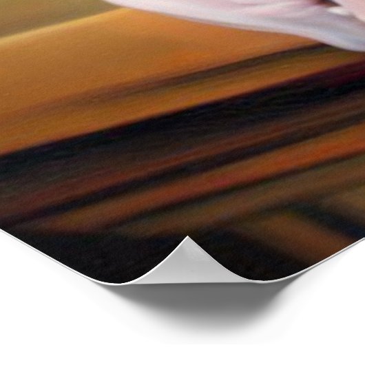 Don Sphynx Cat Poster (Ecke)